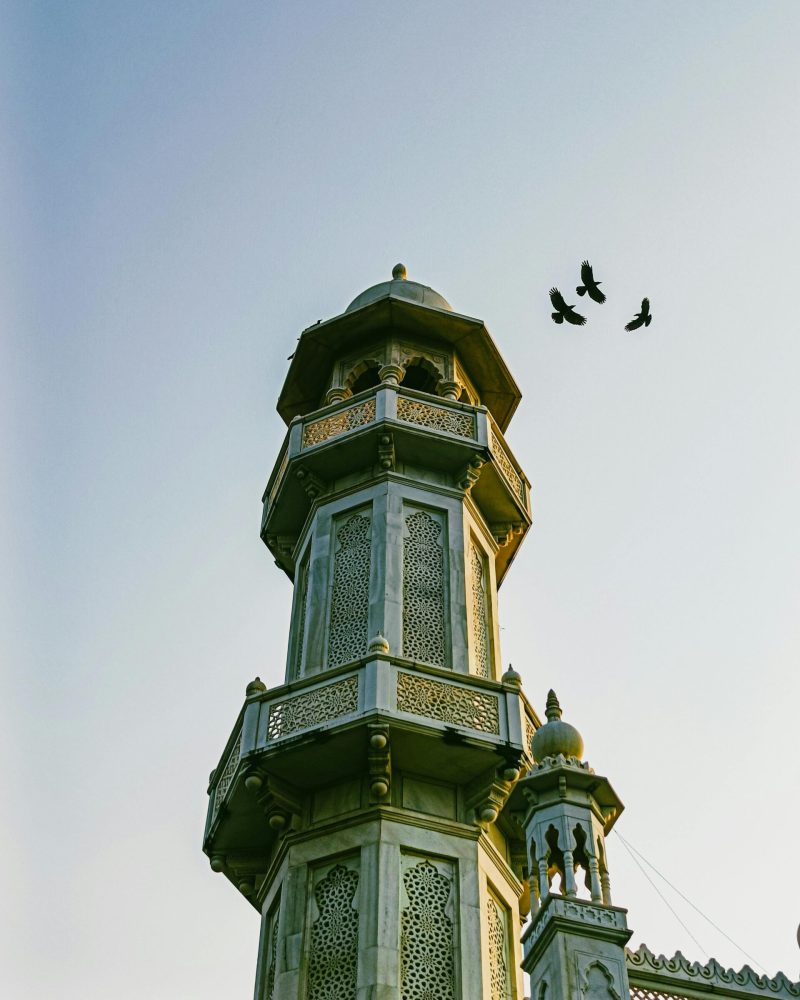 pexels-abhishek-mishra-277771722-14369714